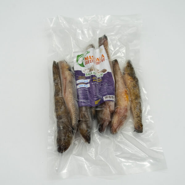 Baila IQF (Cln) (500g*12Pack) (6)kg (Vacuum)