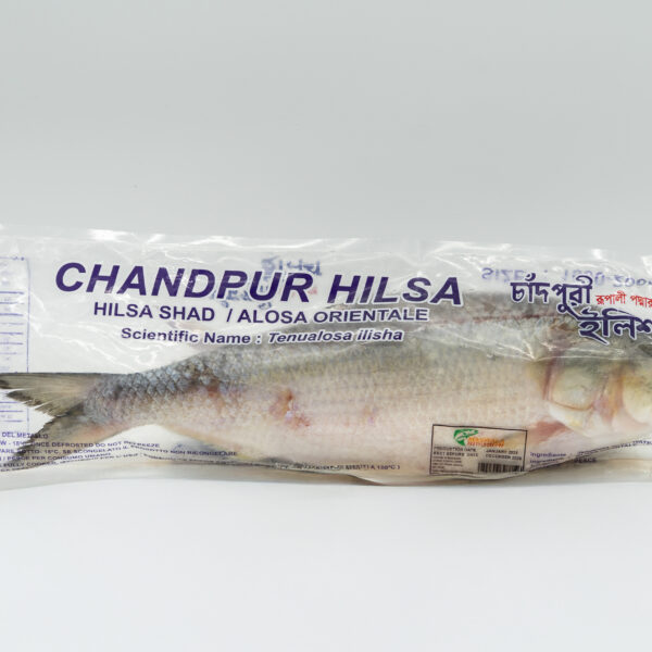HILSHA (CHANDPURI)