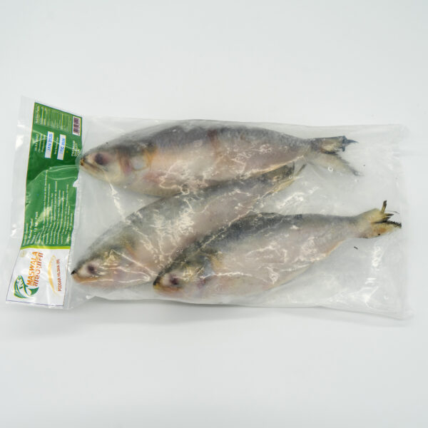 Hilsha Special Pack